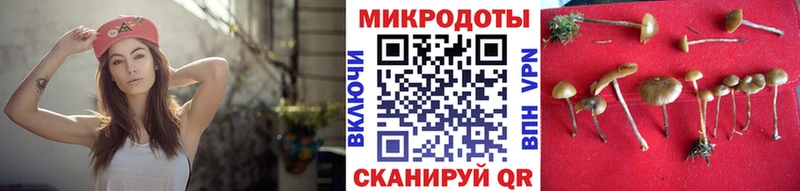 OMG ссылки  Безенчук  Галлюциногенные грибы мухоморы 